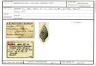 Karteikarte zum Holotyp von Frondicularia superba Karrer, 1877